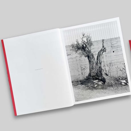 Adam Broomberg, Rafael Gonzalez / Anchor in the Landscape