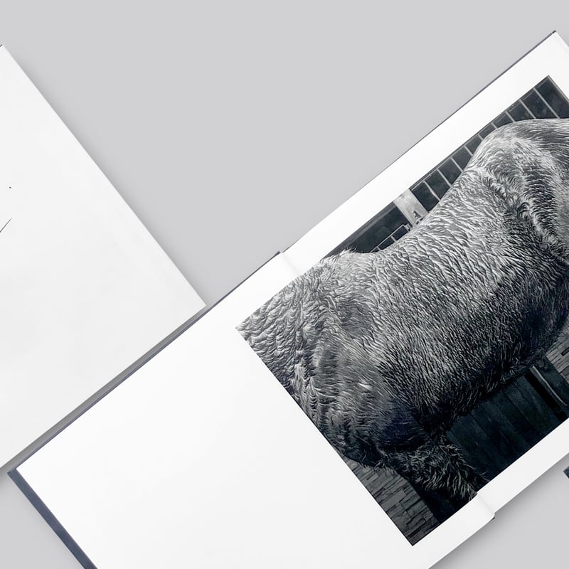 alessandra sanguinetti/写真集(サイン入り) ON THE SIXTH DAY