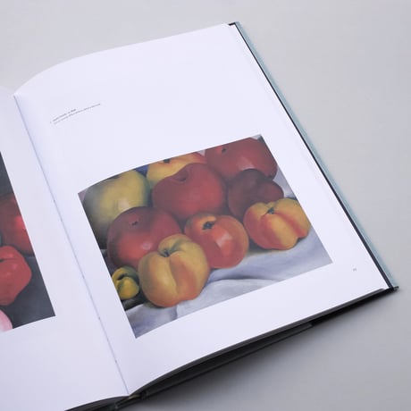 Modern Nature : Georgia O'Keeffe and Lake George