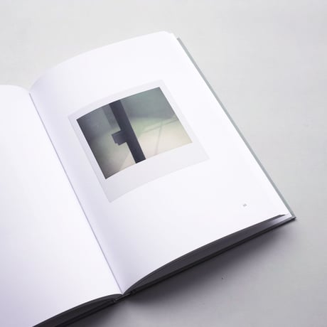 Luc Tuymans / Ende