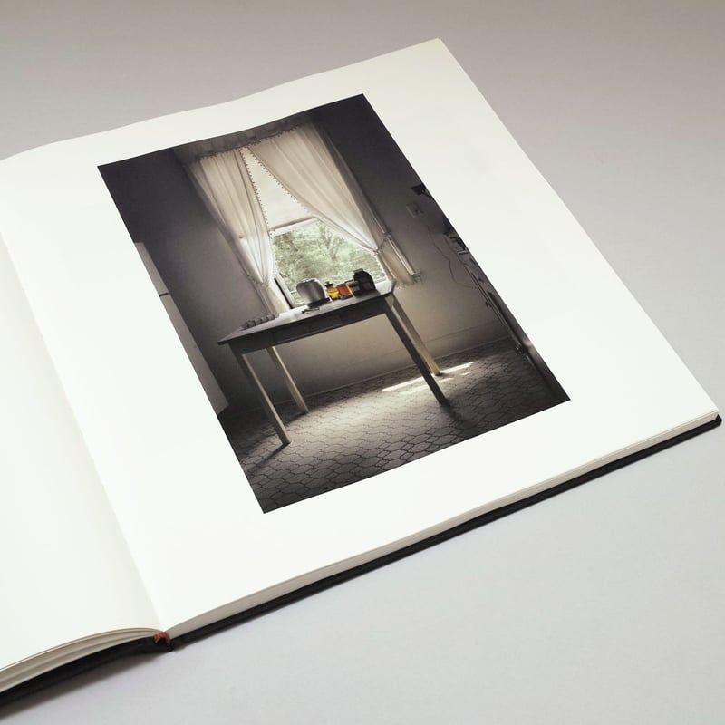 William Eggleston Democratic Camera 洋書 THE OUTLANDS, SELECTED