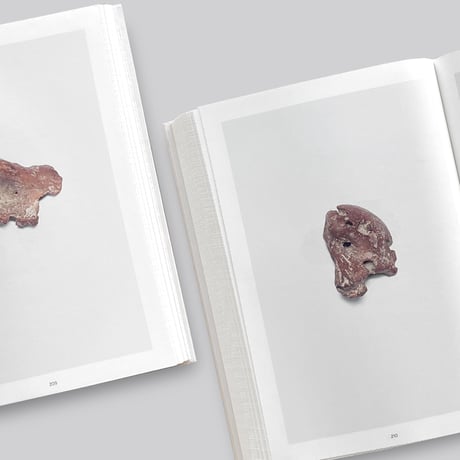 Nina Canell / Shell Reader