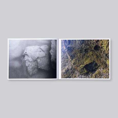 Adam Thorman / Creatures Found