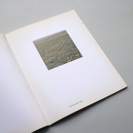 【古書】Wolfgang Laib / Passage