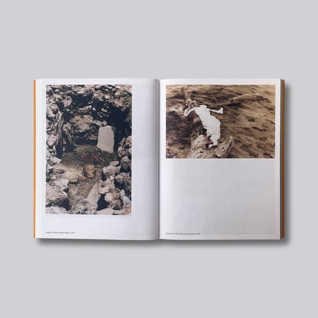 Ana Mendieta / Search for Origin