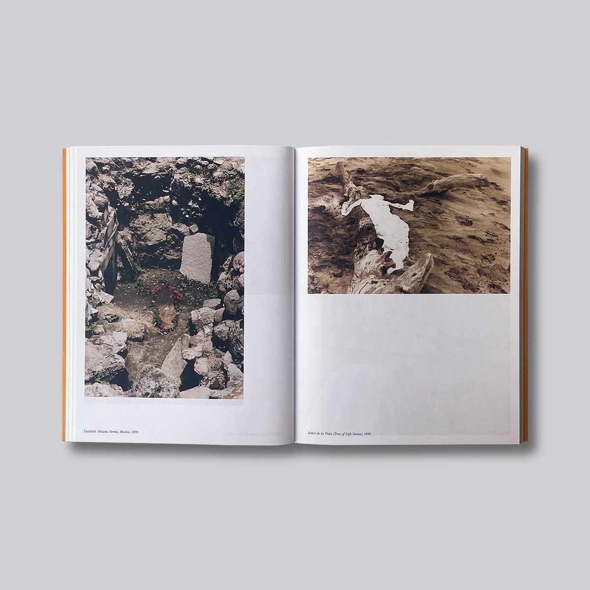 Ana Mendieta　アナ・メンディエタ Ana Mendieta / Search for Origin | POST