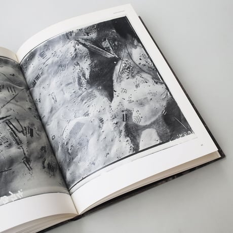 Eyal Weizman, Fazal Sheikh / The Conflict Shoreline