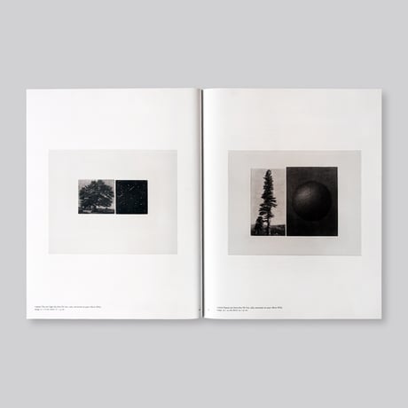 Vija Celmins