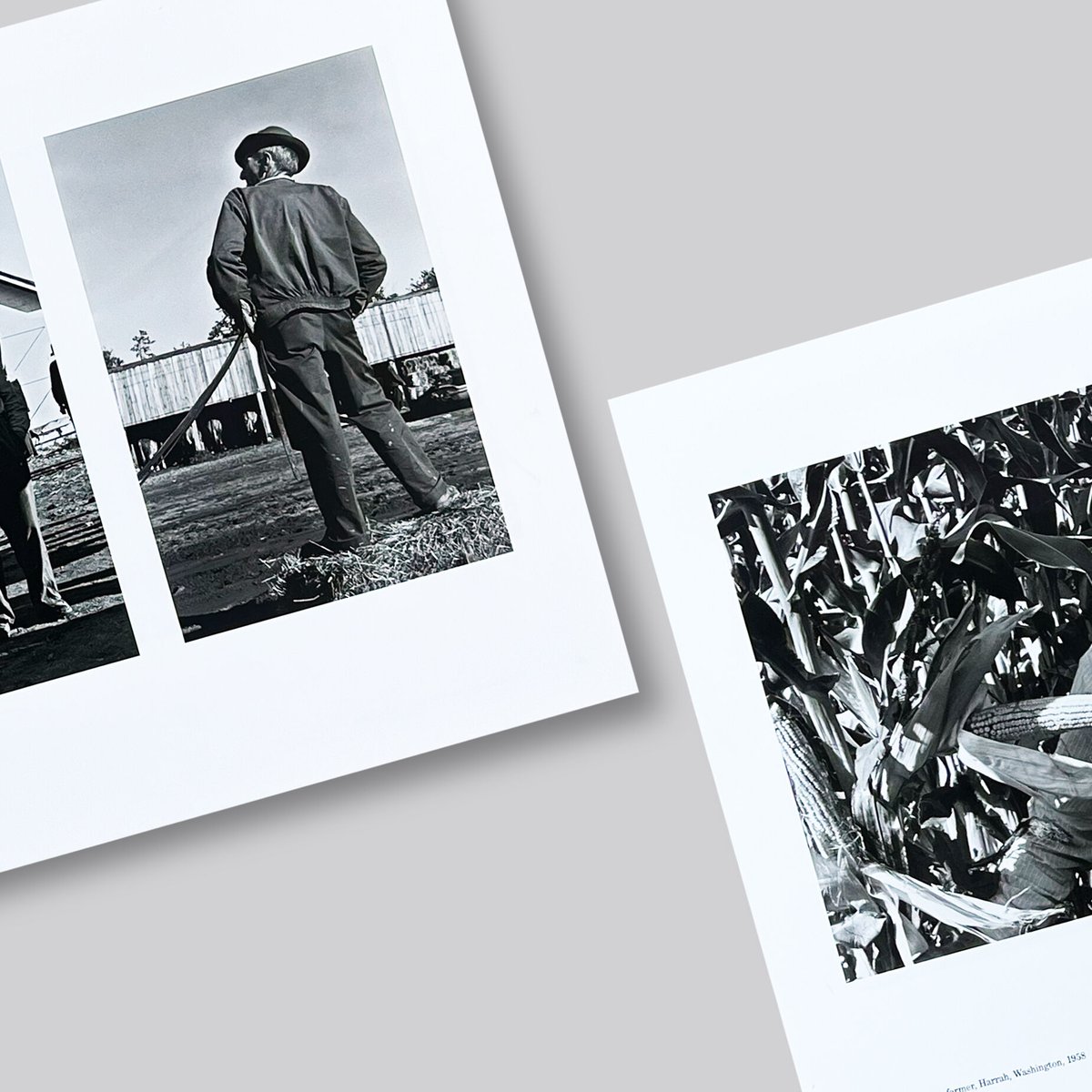 芸術写真 Lee Friedlander : Workers Human Clay 芸術写真 Lee