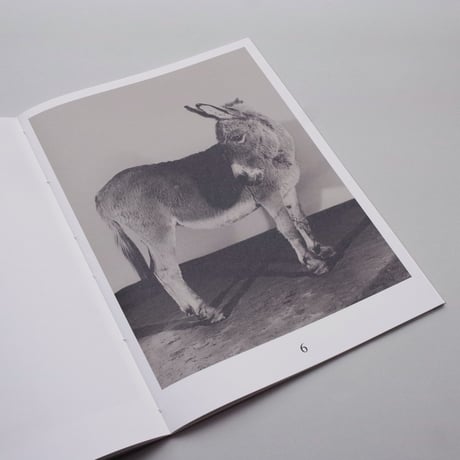 Paul Koolker/ The Rumour