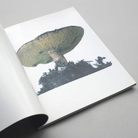 Takashi Homma / SCANDINAVIAN MUSHROOM