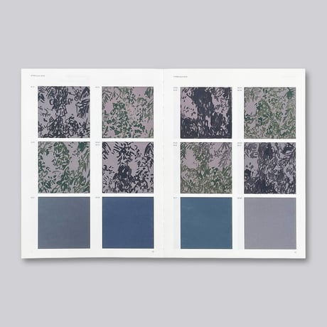 Irene Kopelman / A Matter of Framing. Notes on Representation Vol. 13