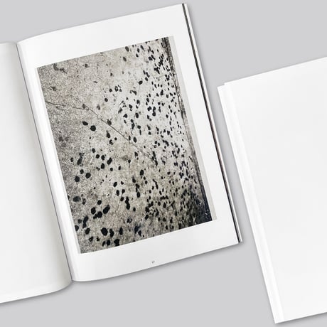 Adam McEwen / Sidewalks