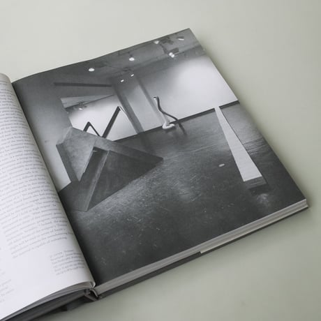 Carl Andre / Things in their Element