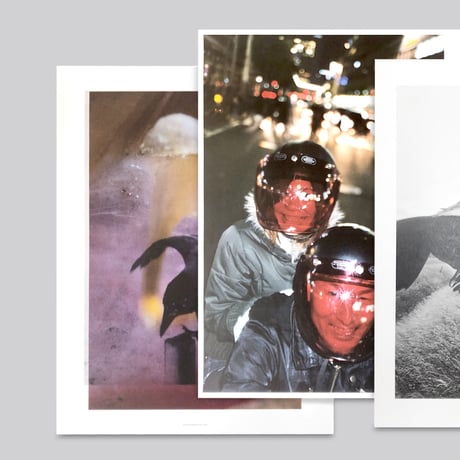 Stephen Gill / Large Poster Set