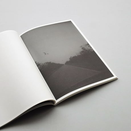 Bert Teunissen / On the Road, Everglades
