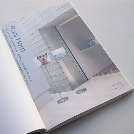 Roni Horn / When You See Your Reflection in Water, Do You Recognize the Water in You?