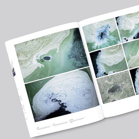 Lizan Freijsen / The Living Surface - An Alternative Biology Book On Stains
