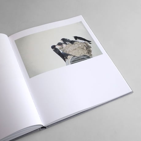 Rinko Kawauchi / Des Oiseaux