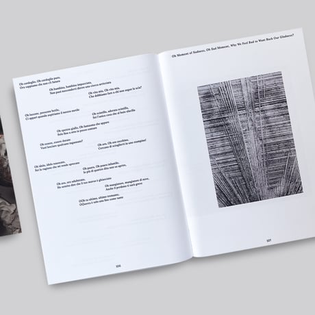 Luca Monterastelli / Pardon Façade
