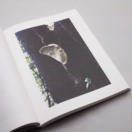 ホンマタカシ / Symphony その森の子供 mushrooms from the forest（ソフトカバー）