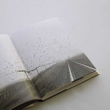 Lukas Felzmann / Swarm