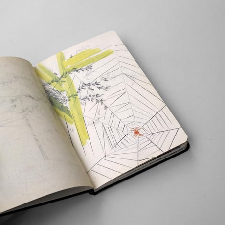 Aldo Schmid / Notebooks 2005–2018