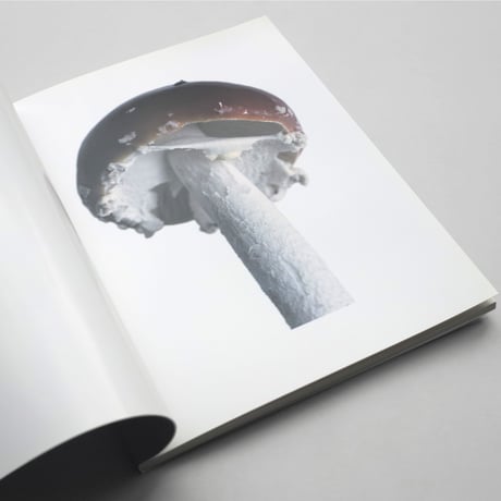 Takashi Homma / SCANDINAVIAN MUSHROOM