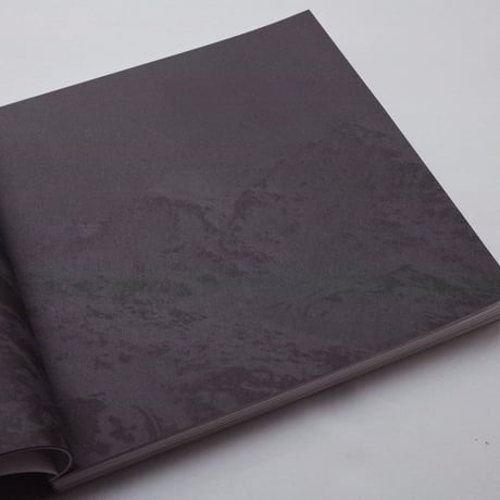 Michel Comte / Light Special Edition