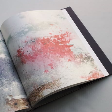 Helen Frankenthaler  / "Pittura/Panorama Paintings by Helen Frankenthaler, 1952–1992 Catalogue
