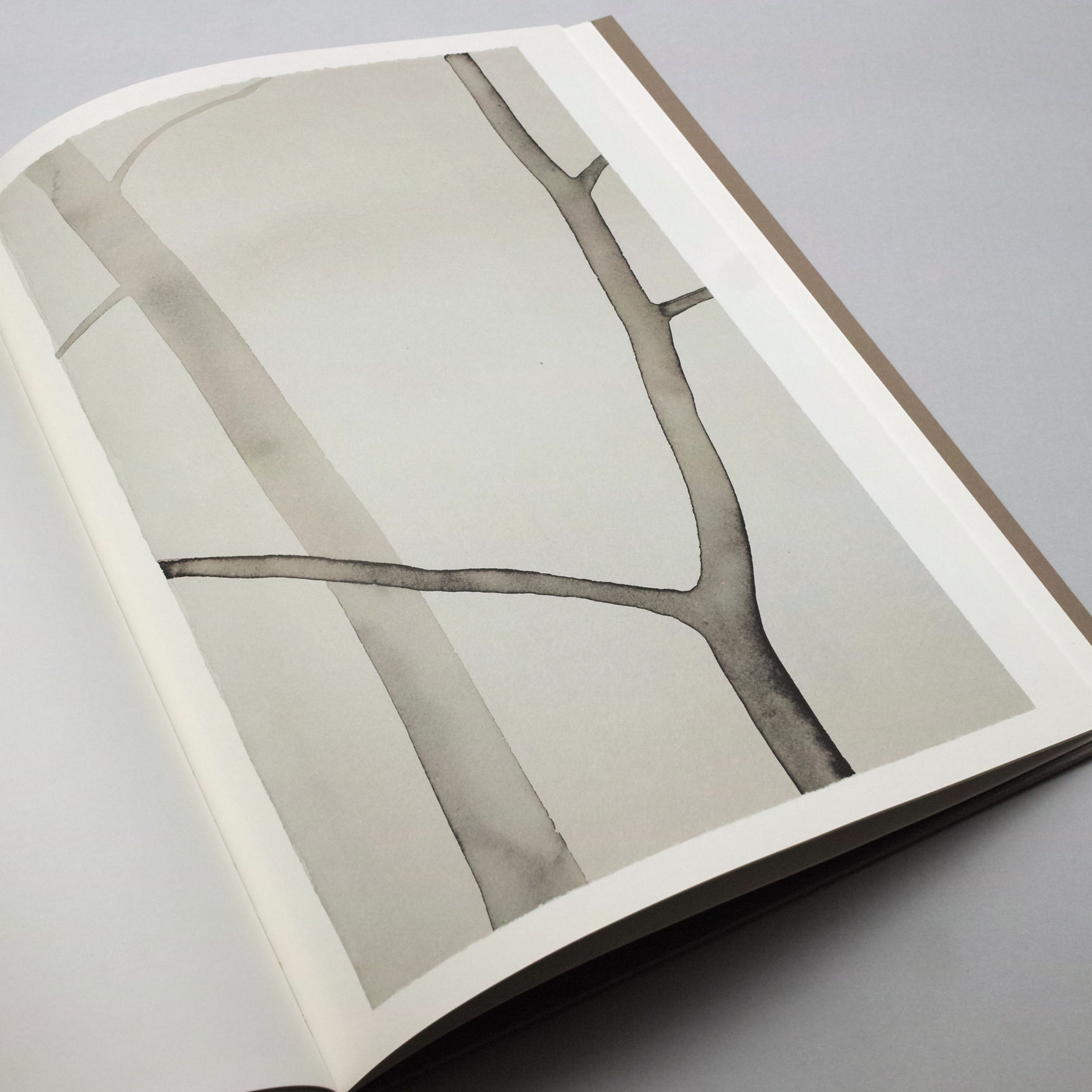 Mats Gustafson / DEER (Limited Edition) | POST