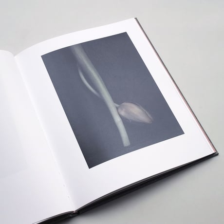 Inger Krauss / 39 Bilder