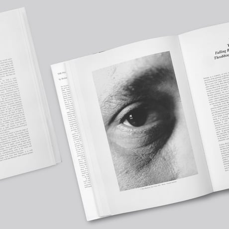 Ross Bleckner / The Paintings of Ross Bleckner