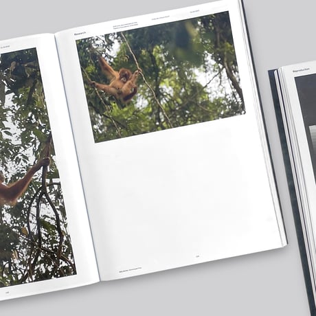 The Most Beautiful Swiss Books 2017