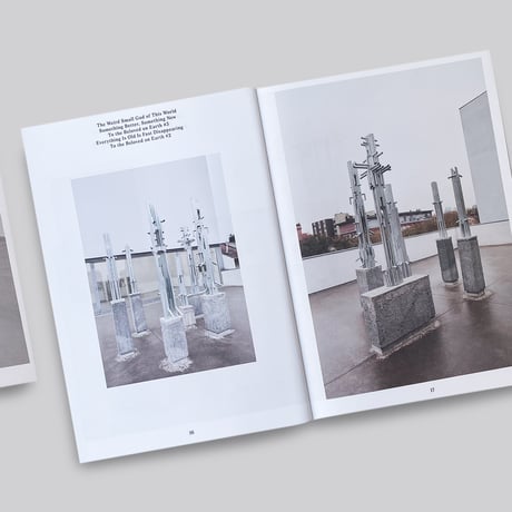 Luca Monterastelli / Pardon Façade