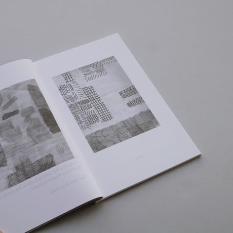 Nigel Peake / Fieldwork