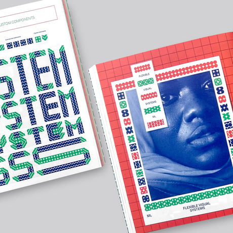 Martin Lorenz / Flexible Visual Systems (4th ed)