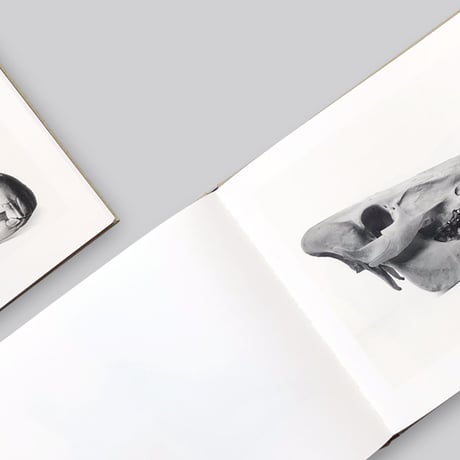 Irving Penn / Cranium Architecture
