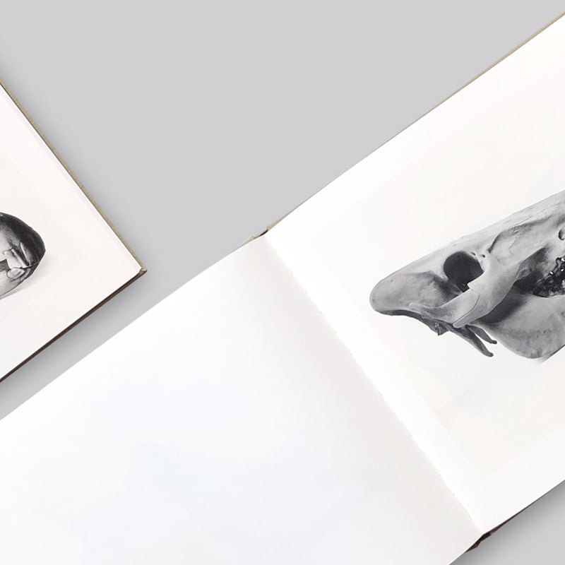 Irving Penn / Cranium Architecture | POST