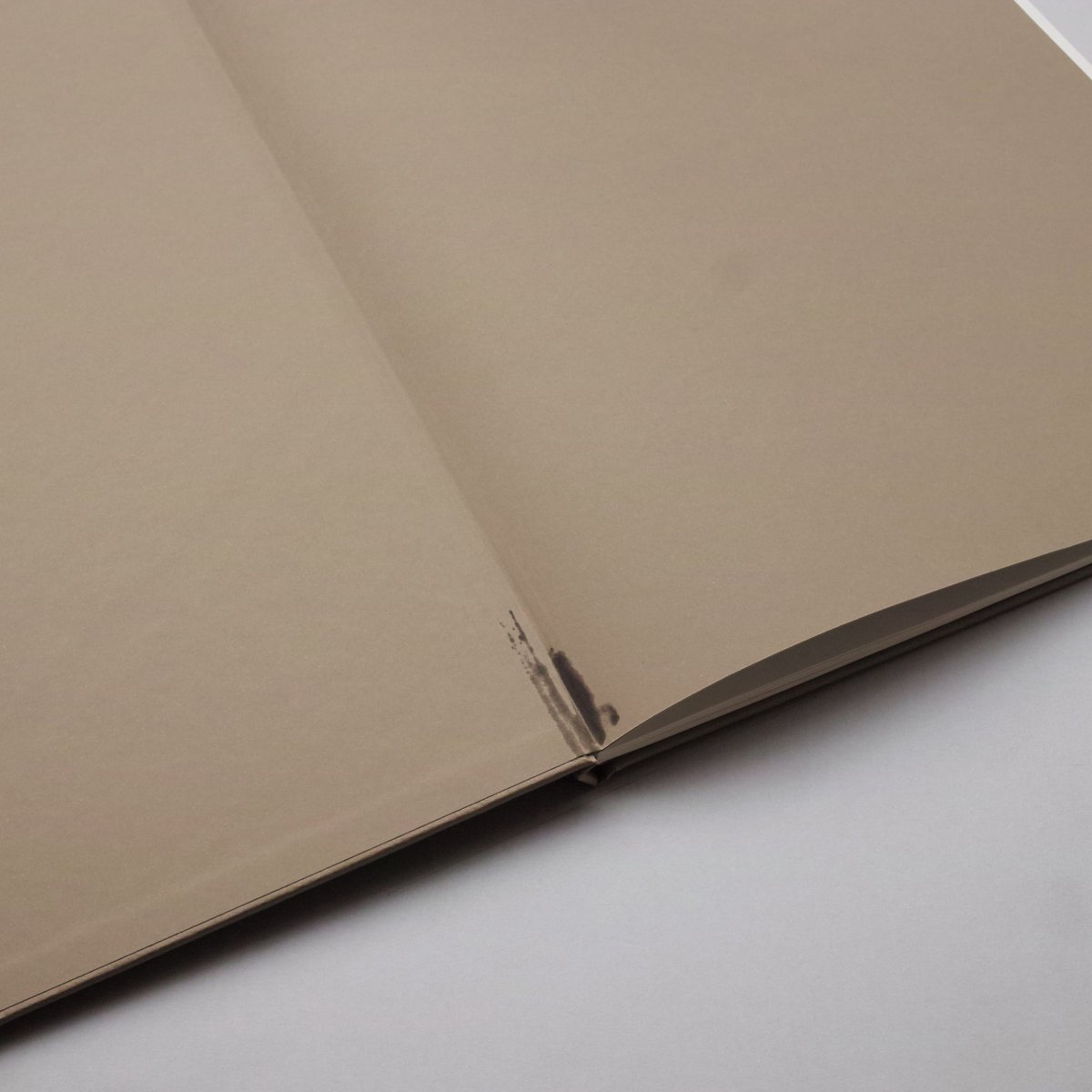 Mats Gustafson / DEER (Limited Edition) | POST