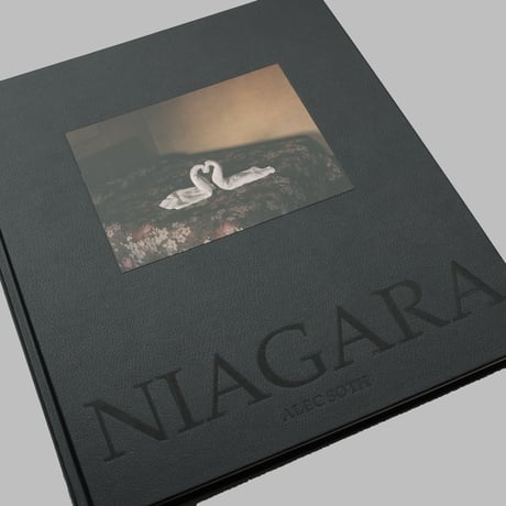 Alec Soth / Niagara