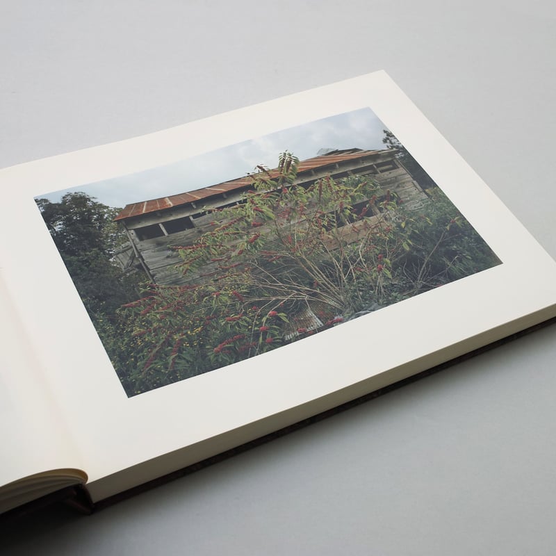 William Eggleston / Election Eve | POST