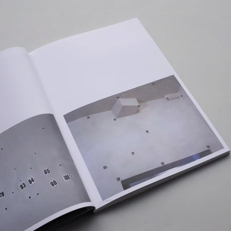 Lucas Blalock / Figures