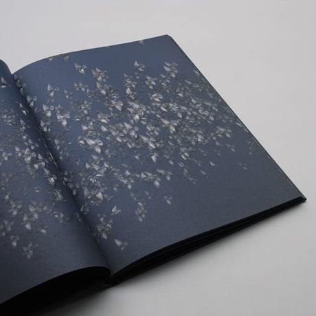 Rinko Kawauchi / Halo