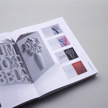 Experimental Design - Visual Methods and Systematic Play（ドイツ語版）