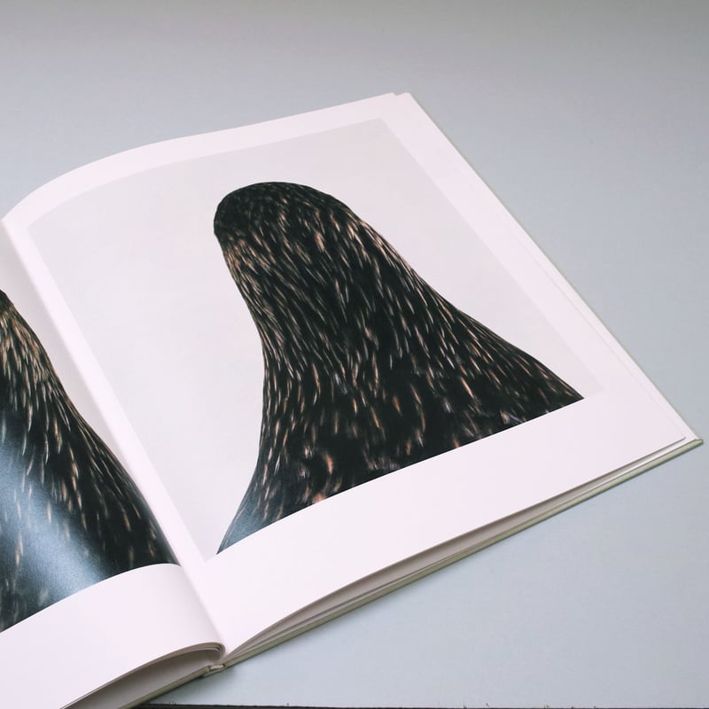 Roni Horn / bird | POST Roni Horn / bird | POST