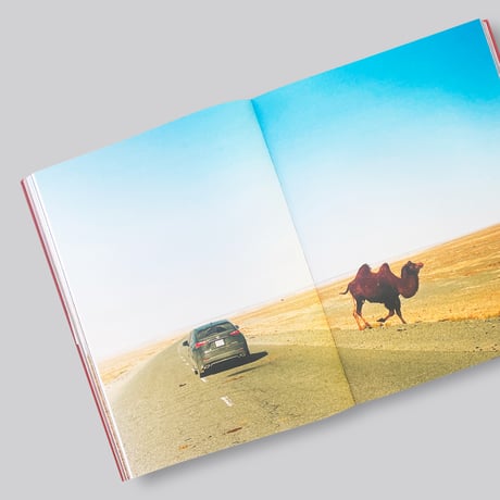 Mark Borthwick, Mali Marciano / Silk Road
