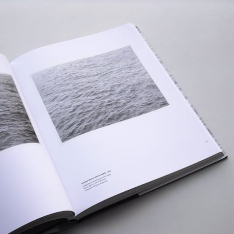 Vija Celmins / To Fix the Image in Memory