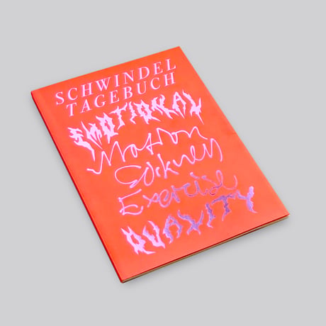 Angela Stiegler, Shila Rastizadeh / Schwindeltagebuch