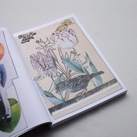 Gijs Assmann / For H